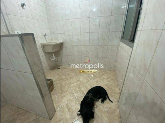 Imagem Apartamento com 2 Quartos à Venda, 70 m² em Vila Baeta Neves - São Bernardo Do Campo Imagem Apartamento com 2 Quartos à Venda, 70 m² em Vila Baeta Neves - São Bernardo Do Campo