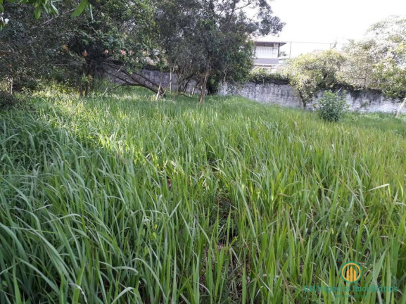 Imagem Terreno em Condomínio à Venda, 1 m² em Jardim Passárgada I - Cotia Imagem Terreno em Condomínio à Venda, 1 m² em Jardim Passárgada I - Cotia