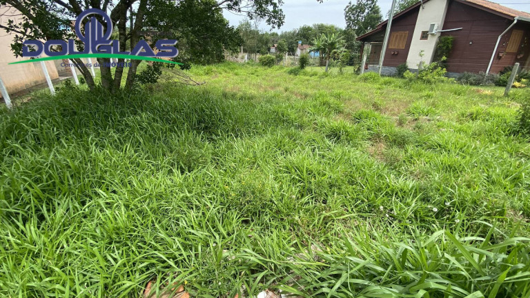 Imagem Terreno à Venda, em águas Claras - Viamão Imagem Terreno à Venda, em águas Claras - Viamão