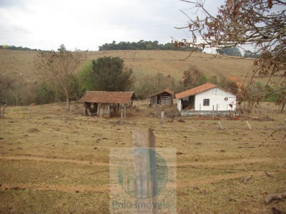 Imagem Imóvel com 4 Quartos à Venda, 1.694.000 m² em Zona Rural - Jacui