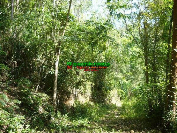 Imagem Chácara à Venda, 30.000 m² em Ponte Nova - Monteiro Lobato Imagem Chácara à Venda, 30.000 m² em Ponte Nova - Monteiro Lobato