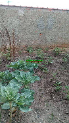 Imagem Terreno em Condomínio à Venda, 180 m² em Sob. Consulta - Lorena Imagem Terreno em Condomínio à Venda, 180 m² em Sob. Consulta - Lorena