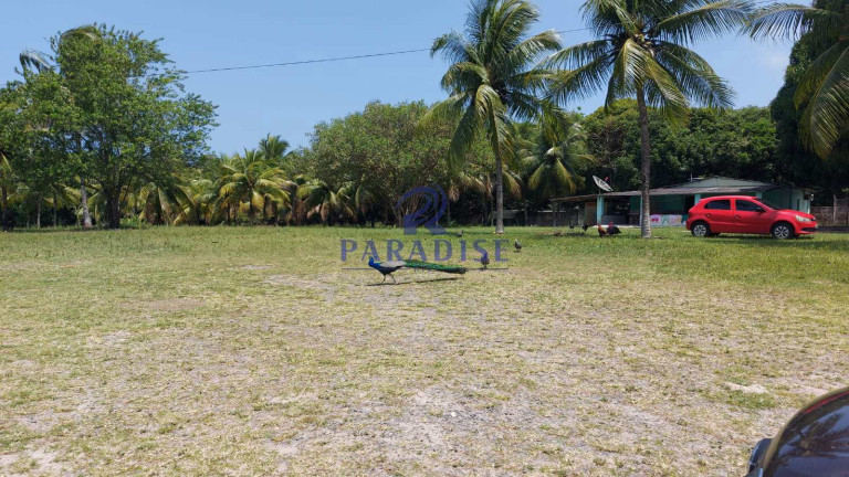 Imagem Fazenda à Venda, 6.800 m² em Monte Gordo (monte Gordo) - Camaçari Imagem Fazenda à Venda, 6.800 m² em Monte Gordo (monte Gordo) - Camaçari