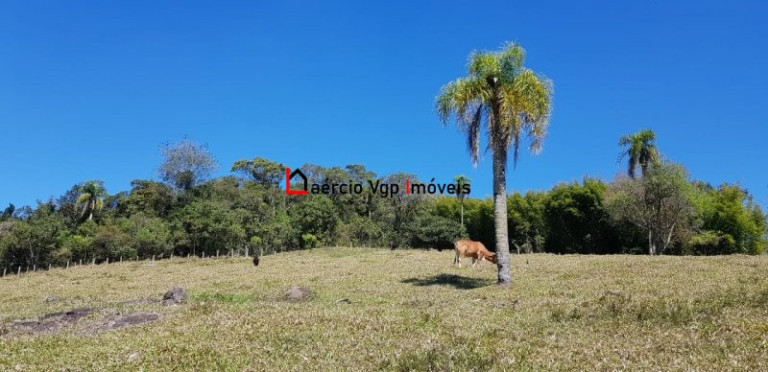 Imagem Imóvel com 2 Quartos à Venda, 133.100 m² em Carmo Messias - Ibiúna