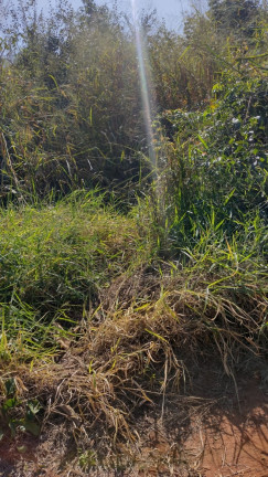 Imagem Imóvel à Venda, 1.000 m² em Vale Do Igapó - Bauru