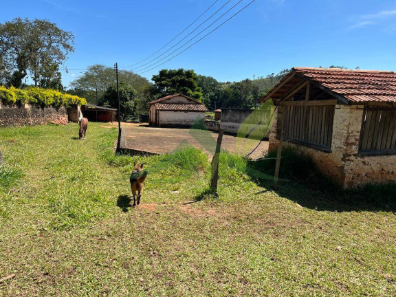 Imagem Chácara com 3 Quartos à Venda, 62.000 m² em Piracaia - Piracaia Imagem Chácara com 3 Quartos à Venda, 62.000 m² em Piracaia - Piracaia