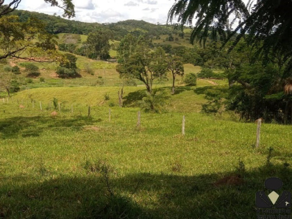 Imagem Imóvel à Venda, 21.900 m² em Fazendinhas Pedro Leopoldo Mg - Pedro Leopoldo Imagem Imóvel à Venda, 21.900 m² em Fazendinhas Pedro Leopoldo Mg - Pedro Leopoldo