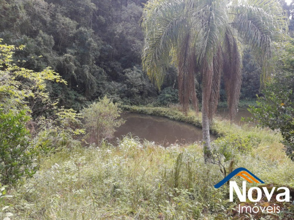 Imagem Imóvel à Venda, 120.000 m² em Linha Pirajá Baixa - Nova Petrópolis Imagem Imóvel à Venda, 120.000 m² em Linha Pirajá Baixa - Nova Petrópolis