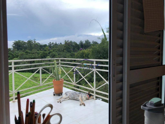 Imagem Casa com 4 Quartos à Venda, 249 m² em Granja Viana - Cotia Imagem Casa com 4 Quartos à Venda, 249 m² em Granja Viana - Cotia