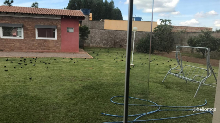 Imagem Imóvel com 6 Quartos à Venda, 226 m² em área Rural De Campo Grande - Campo Grande Imagem Imóvel com 6 Quartos à Venda, 226 m² em área Rural De Campo Grande - Campo Grande