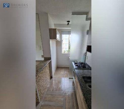 Imagem Apartamento com 2 Quartos à Venda, 48 m² em Ponte Preta - Campinas Imagem Apartamento com 2 Quartos à Venda, 48 m² em Ponte Preta - Campinas
