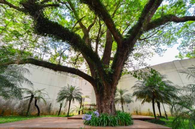 Imagem Imóvel com 4 Quartos à Venda, 210 m² em Vila Sofia - São Paulo Imagem Imóvel com 4 Quartos à Venda, 210 m² em Vila Sofia - São Paulo