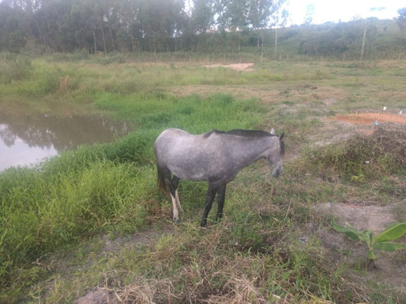 Imagem Imóvel à Venda, em Piedade Dos Gerais - Piedade Dos Gerais Imagem Imóvel à Venda, em Piedade Dos Gerais - Piedade Dos Gerais