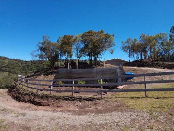 Imagem Imóvel com 1 Quarto à Venda, 20.000 m² em Criúva - Caxias Do Sul