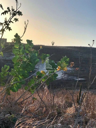 Imagem Terreno à Venda, 495 m² em Porto Das Dunas - Aquiraz Imagem Terreno à Venda, 495 m² em Porto Das Dunas - Aquiraz