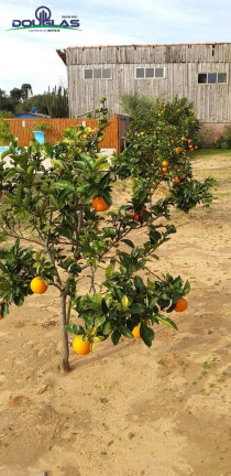 Imagem Terreno à Venda, 600 m² em Viamão Imagem Terreno à Venda, 600 m² em Viamão
