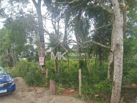 Imagem Terreno à Venda, 2.720 m² em Jardim Santa Helena - Piraquara Imagem Terreno à Venda, 2.720 m² em Jardim Santa Helena - Piraquara