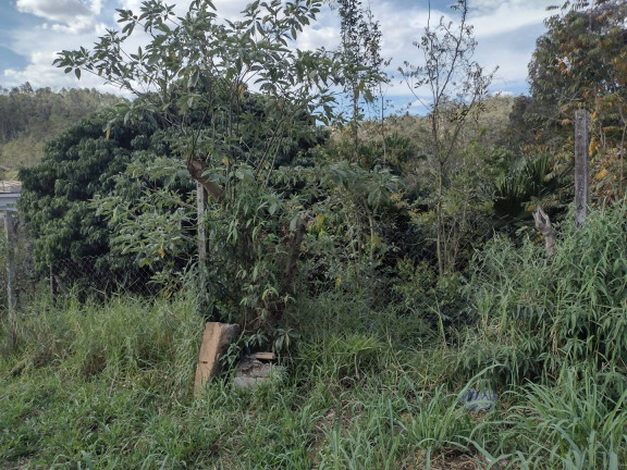 Imagem Casa com 2 Quartos à Venda, 1.000 m² em Monte Verde - Caieiras Imagem Casa com 2 Quartos à Venda, 1.000 m² em Monte Verde - Caieiras