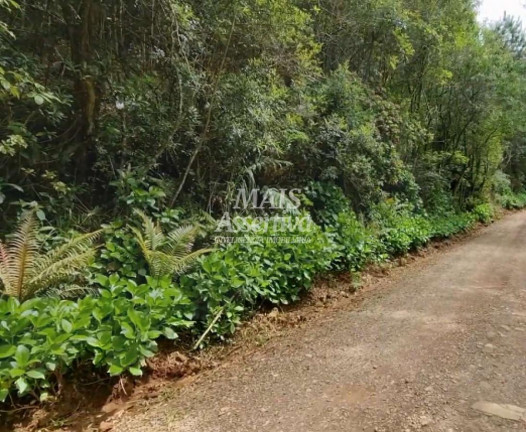 Imagem Imóvel à Venda, 50 m² em Centro - São Francisco De Paula Imagem Imóvel à Venda, 50 m² em Centro - São Francisco De Paula