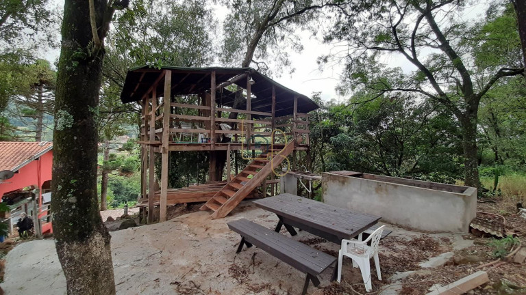 Imagem Chácara com 2 Quartos à Venda, 17.242 m² em Chácaras São Miguel - Londrina
