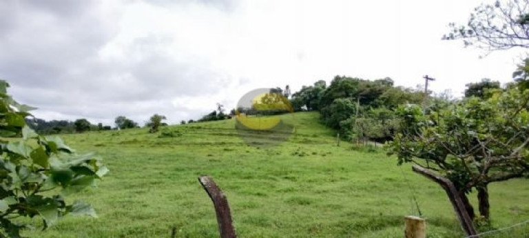 Imagem Terreno à Venda, 30.000 m² em Jardim Colibri - Cotia Imagem Terreno à Venda, 30.000 m² em Jardim Colibri - Cotia