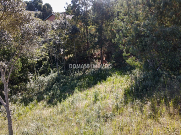 Imagem Terreno à Venda, 1.215 m² em Região Do Alto Da Boa Vista - Campos Do Jordão Imagem Terreno à Venda, 1.215 m² em Região Do Alto Da Boa Vista - Campos Do Jordão