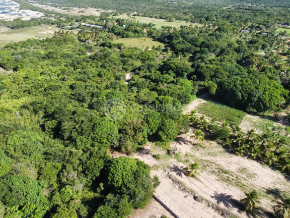 Imagem Terreno à Venda, 40.000 m² em Alcaçuz - Nísia Floresta Imagem Terreno à Venda, 40.000 m² em Alcaçuz - Nísia Floresta