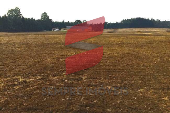 Imagem Terreno à Venda, 20.047 m² em Roseira - São José Dos Pinhais Imagem Terreno à Venda, 20.047 m² em Roseira - São José Dos Pinhais