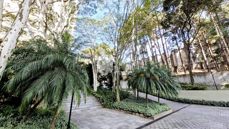 Imagem Apartamento com 3 Quartos à Venda, 510 m² em Vila Suzana - São Paulo