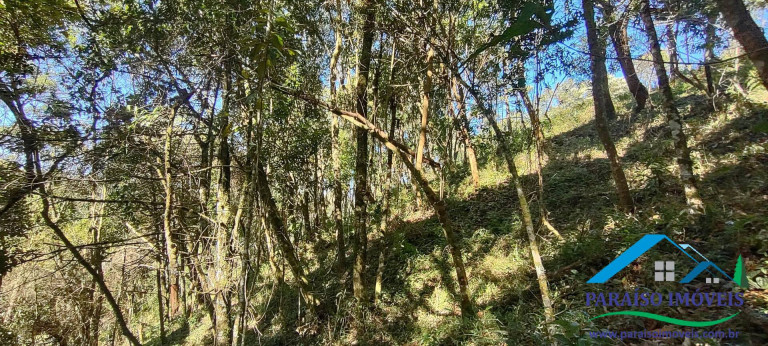 Imagem Chácara à Venda, 100 m² em Centro - Gonçalves