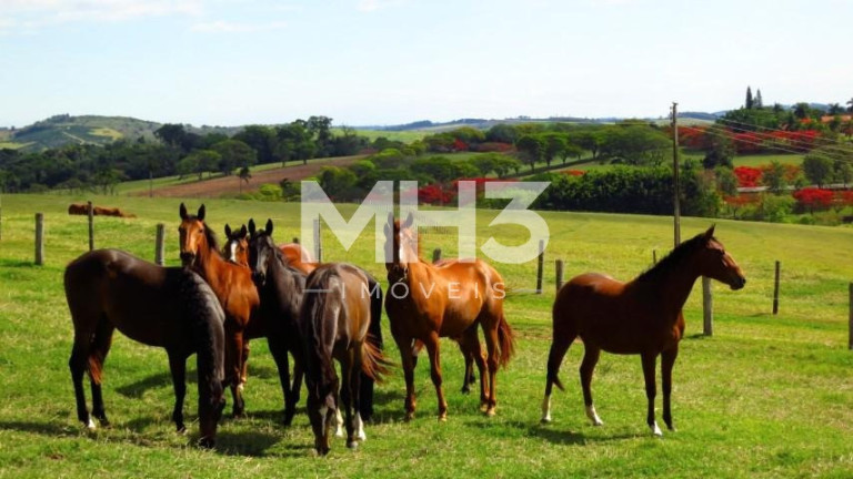 Imóvel com 20 Quartos à Venda, 1.150 m² em área Rural De Santo Antônio De Posse - Santo Antônio De Posse