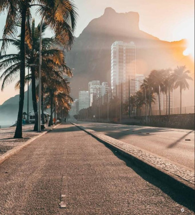 Imagem Apartamento com 3 Quartos à Venda, 166 m² em São Conrado - Rio De Janeiro