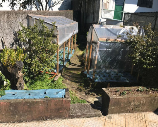 Imagem Imóvel com 3 Quartos à Venda,  em Rio Branco - Caxias Do Sul
