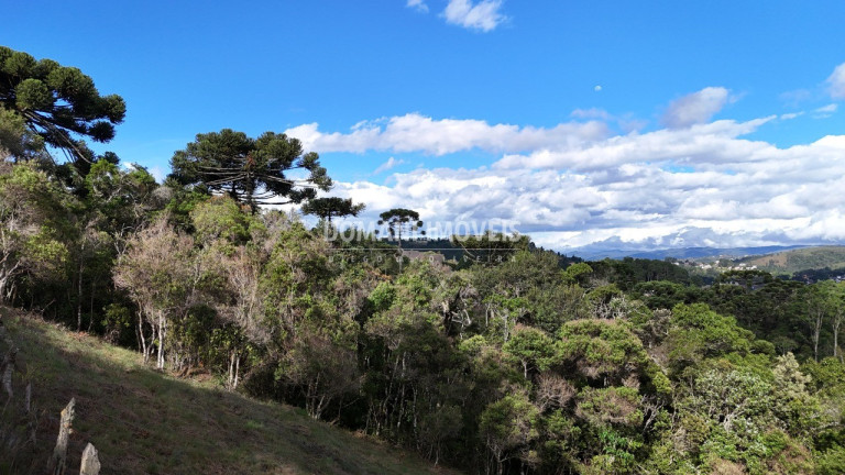 Imagem Terreno à Venda, 1.245 m² em Região Do Atalaia - Campos Do Jordão Imagem Terreno à Venda, 1.245 m² em Região Do Atalaia - Campos Do Jordão