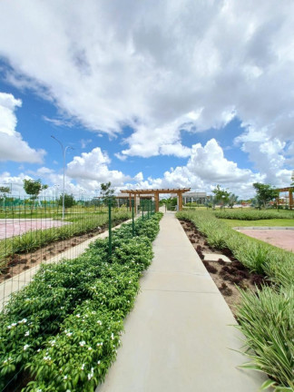 Imagem Terreno à Venda, 311 m² em Aldeia Dos Camarás - Paudalho Imagem Terreno à Venda, 311 m² em Aldeia Dos Camarás - Paudalho