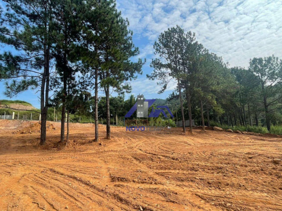 Imagem Imóvel para Alugar, 9.000 m² em Residencial Santa Helena - Gleba Ii - Santana De Parnaíba