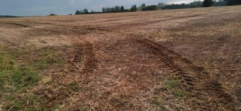 Imagem Chácara à Venda, 65 m² em Rural - Campina Do Monte Alegre Imagem Chácara à Venda, 65 m² em Rural - Campina Do Monte Alegre