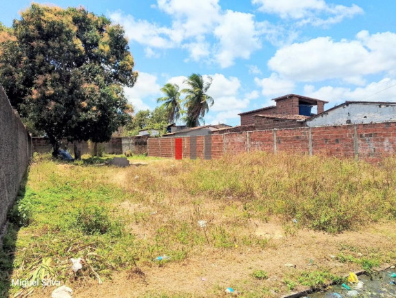Imagem Terreno à Venda, 530 m² em São José - Macaíba Imagem Terreno à Venda, 530 m² em São José - Macaíba