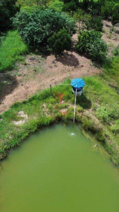 Imagem Imóvel com 2 Quartos à Venda, 70.000 m² em Centro - Santo Antônio De Goiás