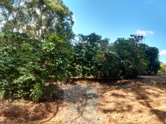 Imagem Imóvel à Venda, 4 m² em Rural - Jacuí Imagem Imóvel à Venda, 4 m² em Rural - Jacuí