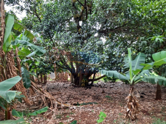 Imagem Imóvel com 2 Quartos à Venda, 5.000 m² em Bonfim Paulista - Ribeirão Preto Imagem Imóvel com 2 Quartos à Venda, 5.000 m² em Bonfim Paulista - Ribeirão Preto