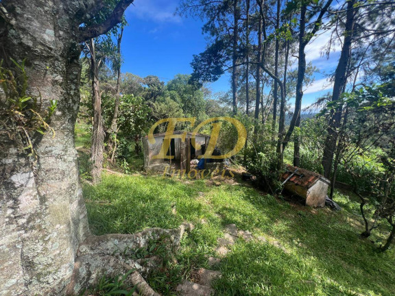 Imagem Chácara com 4 Quartos à Venda, 6.000 m² em Mairiporã Imagem Chácara com 4 Quartos à Venda, 6.000 m² em Mairiporã