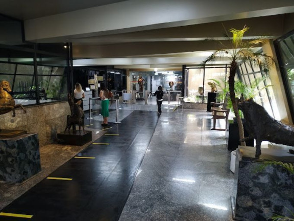 Imagem Imóvel para Alugar, 292 m² em Jardim Paulista - São Paulo Imagem Imóvel para Alugar, 292 m² em Jardim Paulista - São Paulo