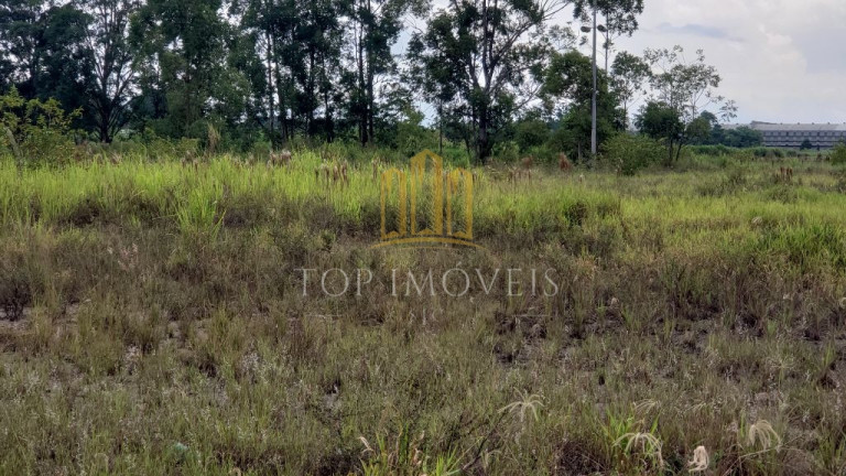 Imagem Galpão à Venda, 160.000 m² em Floradas Arboville - Jacareí Imagem Galpão à Venda, 160.000 m² em Floradas Arboville - Jacareí