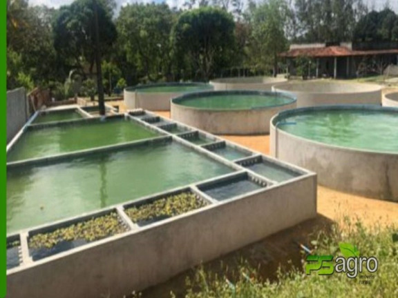 Imagem Imóvel com 5 Quartos à Venda, 1 m² em Zona Rural - Pedras De Fogo