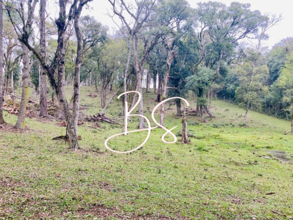 Imagem Terreno à Venda, 48.300 m² em Mato Queimado - Gramado Imagem Terreno à Venda, 48.300 m² em Mato Queimado - Gramado