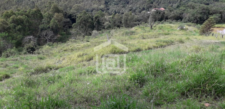 Imagem Imóvel com 3 Quartos à Venda, 20.000 m² em Serra Do Selado (rural) - Poços De Caldas