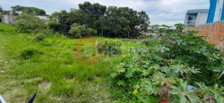 Imagem Terreno à Venda, 420 m² em Guriri - Cabo Frio Imagem Terreno à Venda, 420 m² em Guriri - Cabo Frio