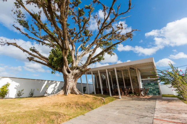 Imagem Terreno à Venda, 112 m² em Lomba Do Pinheiro - Porto Alegre