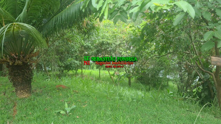 Imagem Chácara com 2 Quartos à Venda, 3.000 m² em Mirante Da Serra - Igaratá Imagem Chácara com 2 Quartos à Venda, 3.000 m² em Mirante Da Serra - Igaratá